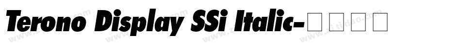 Terono Display SSi Italic字体转换